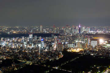 Obraz premium Tokyo, Japan. Night view from Roppongi hills observation deck