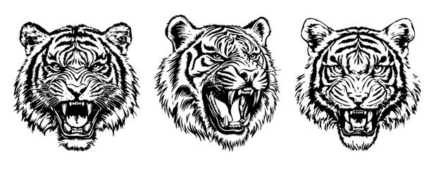 Black Panther Vector Illustration for Tattoo Design