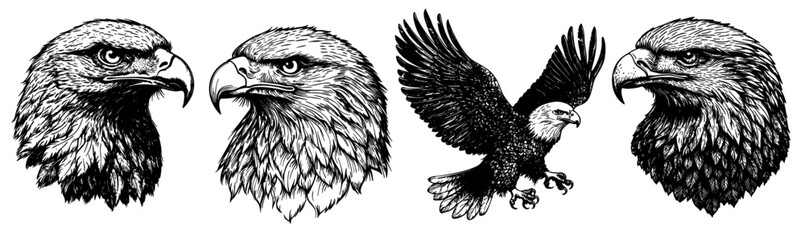 Eagle Vector Illustration for Tattoo Design