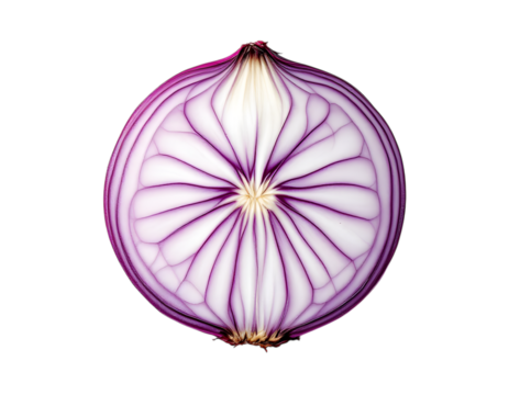 Striking closeup of sliced red onion revealing intricate internal structure