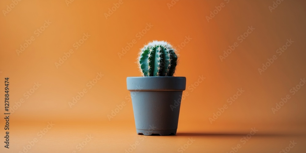 Poster cactus plant in a gray pot on an orange background with soft lighting and shadows emphasizing its sh