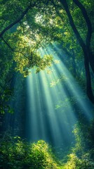 Obraz premium Sunlight Streaming Through Dense Forest Canopy Creating Magical Wilderness Scene in Lush Greenery with Rays of Light Illuminating Nature