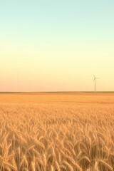 Golden wheat field stretches under serene sky, showcasing wind t