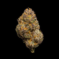 Wedding Cake – Premium Cannabis Strain