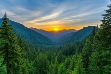 Fototapeta premium Breathtaking Mountain Landscape with Glowing Sunset Sky and Misty Evergreen Forests