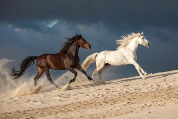 Obraz premium Galloping Horses on Dramatic Terrain