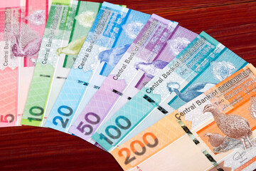 Gambian dalasi a business background