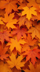 Obraz premium Vibrant autumn leaves in shades of orange and yellow create warm scene