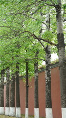 The old traditional Chinese buildings view with the carved stone sculptures and black tiles
