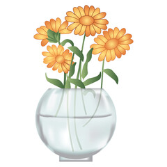 Marigold Flowers in a glass vase illustration