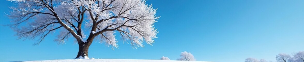 Snowy tree with bare branches against blue sky, trees, tree