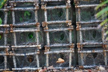 Basket trap catch crabs,lobsters,fishes on  the ocean