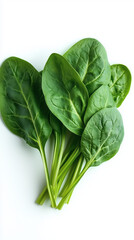 Fototapeta premium spinach on white background
