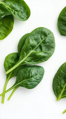 Fototapeta premium spinach on white background
