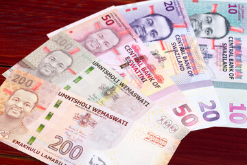 Swazi lilangeni a business background