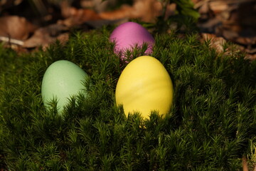 Schöne bunte Ostereier auf Moos im Wald