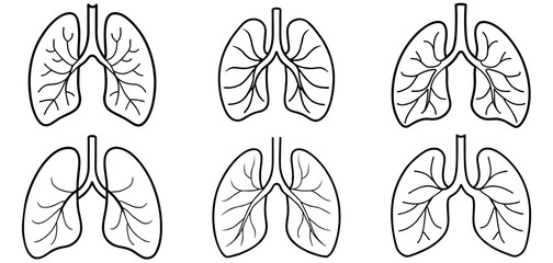 Human Lungs Outline Coloring Page Printable Line Art Drawing