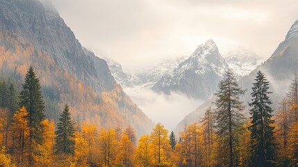 Obraz premium Majestic mountains rise with trees and snow, enveloped by a foggy sky, creating a serene and tranquil landscape.