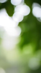 Obraz premium Generative AI captures the ethereal beauty of light filtering through lush foliage creating a dreamy bokeh effect