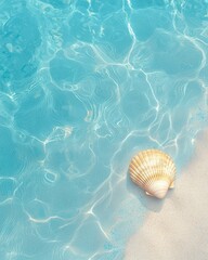 Gentle ocean waves lapping at a seashell on sandy shore tropical beach nature scene serene environment