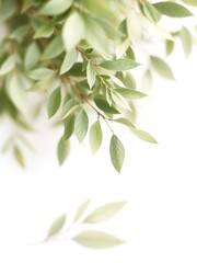 Obraz premium A watercolor-style soft background with delicate, blurred green leaves gently fading into the white space. The composition is light and airy, perfect for an elegant and artistic design