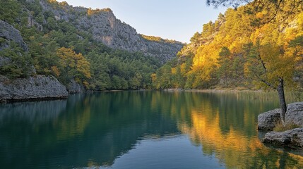 A boat gently floats on the calm water, reflecting the serene environment and creating a peaceful scene of nature and leisure.