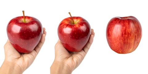 Three Various Hands Holding a Red Apple Fruit on Transparent Background, Fresh, Healthy Snack
