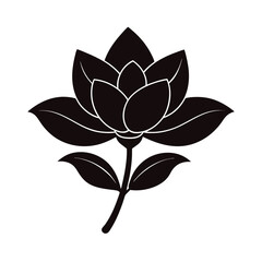 lotus flower vector