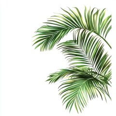 Tropical Palm Leaves on White Background for Design