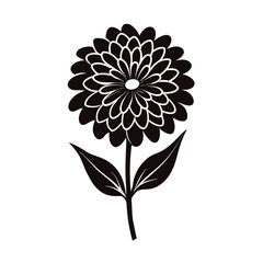 black and white flower vector illustration