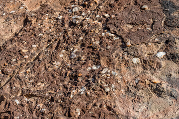 white quarz conglomerate in sandstone rocks, near Twyfelfontein, Namibia