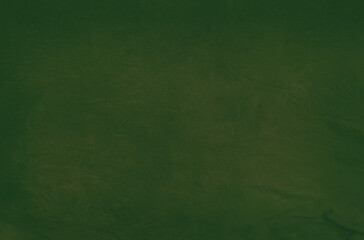 Beautiful green background with leather texture