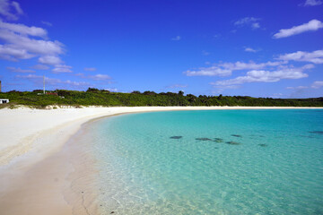 渡口の浜の砂浜