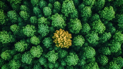 A serene view showcasing a lush green forest, highlighted by a striking yellow tree standing prominently in the center.