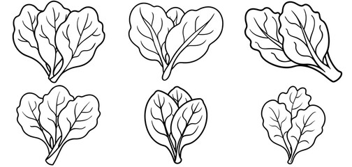 Spinach Vegetable Outline Coloring Page Printable Line Art Drawing