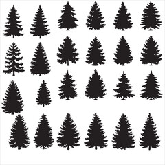 set vector various fir tree silhouettes