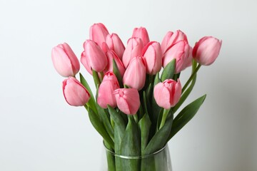 Beautiful fresh tulips on white background