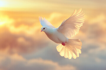 A graceful white dove soars through the sky, fully extending its wings. It blends seamlessly with soft, billowing clouds, creating a serene imagery of purity and freedom in nature.