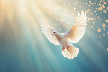 Fototapeta premium A majestic white dove soars gracefully against a soft blue sky bathed in sunlight. Its spread wings radiate peace and freedom, embodying tranquility and nature's beauty.