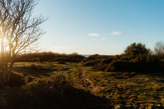 Path Through N&auml;sbokrok Nature Reserve