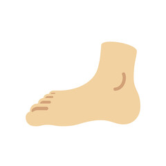 Foot