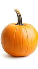 Obraz premium Small pumpkin, autumn harvest, white background, food