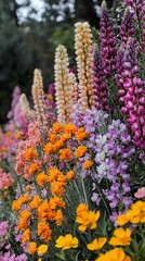 Vibrant multicolored lupines and wildflowers in a garden.