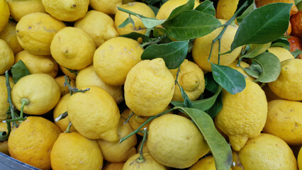 Sale of lemons in a supermarket. Citrus fruits with leaves, close-up. Lemons in a store. Ripe, juicy, bright yellow lemons. A pile of lemons for sale at the market
