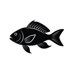 Anthias Silhouette Vector Art and Black Anthias Fish Design Illustration