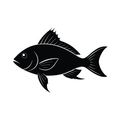 Anthias Silhouette Vector Art and Black Anthias Fish Design Illustration