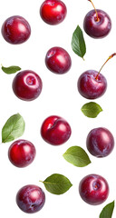 Natural and Fresh Jambul Java Plum isolated on white background