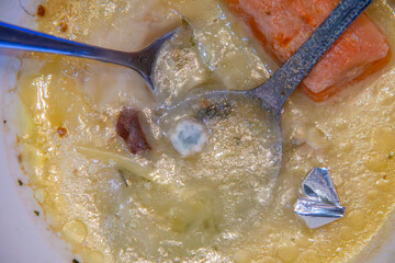 old broth with meat and vegetables moldy in a white bowl. forgotten dinner with mold and mushrooms.
