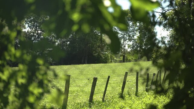 cl&ocirc;ture en fil barbel&eacute; autour d'un pr&eacute;