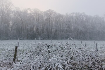 winter panoramic view with fog, ice and snow